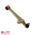 سیبک طبق چپ تیبا-ساینا-کوییک-ریو